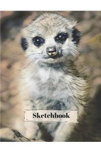 Meerkat Sketchbook