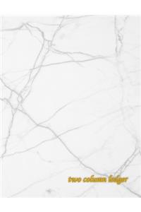 two column ledger