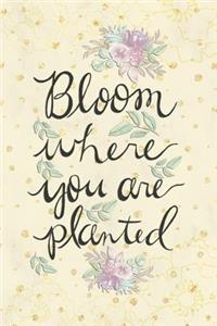 Bloom Where You Are Planted