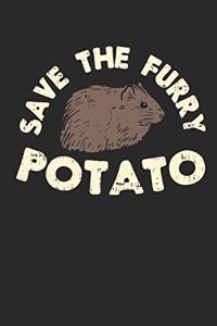 Save the Furry Potato
