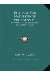Beitrage Zur Naturkunde Preussens V1