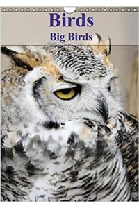 Birds Big Birds 2018