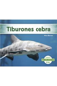 Tiburones Cebra