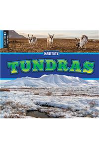 Tundras