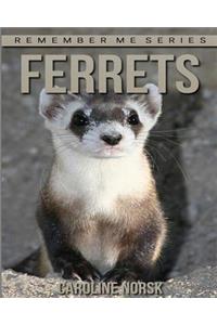 Ferrets