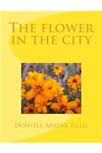 The flower in the city