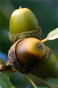 The Acorns Journal - Grab an Acorn (Sorry, It's Just a Picture)