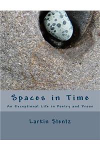 Spaces in Time