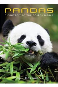 Pandas: A Portrait of the Animal World