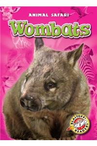 Wombats