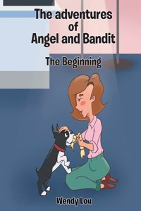 Beginning: The adventures of Angel and Bandit