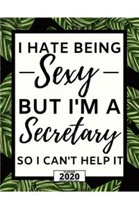 I Hate Being Sexy But I'm A Secretary