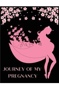 Journey of My Pregnancy