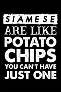 Siamese Are Like Potato Chips You Can't Have Just One