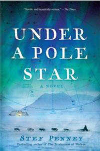 Under a Pole Star