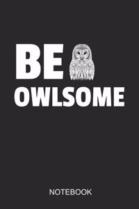 BE OWLSOME Notebook: 6x9 110 Pages Checkered Owl Journal For Bird Lovers