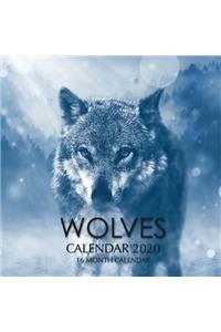 Wolves Calendar 2020