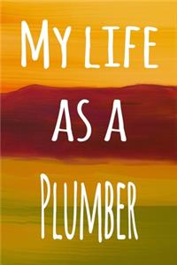 My Life as a Plummer