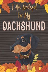 I Am Grateful For My Dachshund