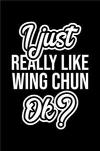 I Just Really Like Wing Chun Ok?