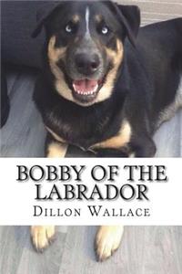 Bobby of the Labrador