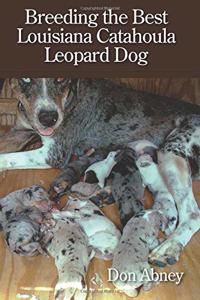 Breeding the Best Louisiana Catahoula Leopard Dog