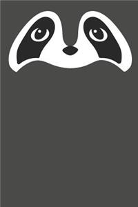 Raccoon Journal