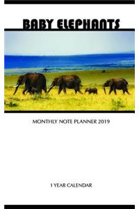 Baby Elephants Monthly Note Planner 2019 1 Year Calendar