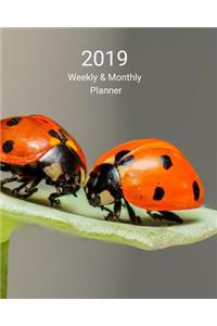 2019 Weekly and Monthly Planner