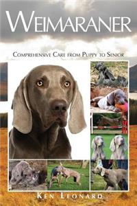 Weimaraner