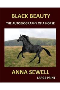 BLACK BEAUTY ANNA SEWELL Large Print