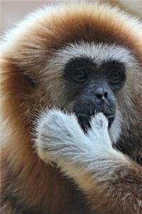 Cute White-Handed Gibbon Monkey Journal