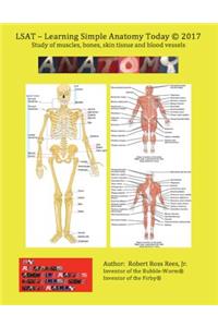 LSAT - Learning Simple Anatomy Today