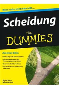 Scheidung fur Dummies