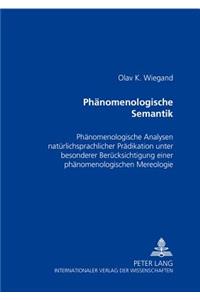 Phaenomenologische Semantik