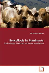 Brucellosis in Ruminants