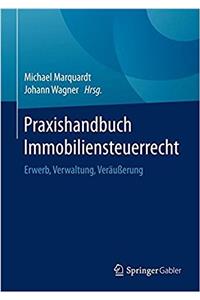 Praxishandbuch Immobiliensteuerrecht