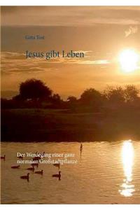 Jesus gibt Leben
