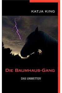 Baumhaus-Gang - Das Unwetter