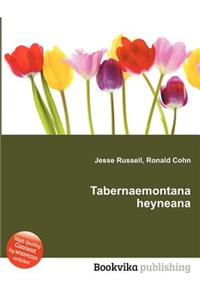 Tabernaemontana Heyneana