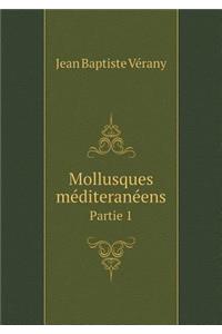 Mollusques méditeranéens Partie 1