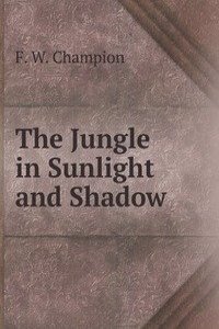 Jungle in Sunlight and Shadow