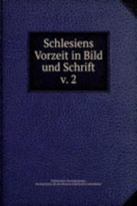 Schlesiens Vorzeit in Bild und Schrift