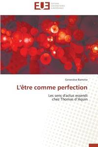 L'Ètre Comme Perfection