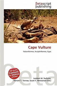 Cape Vulture