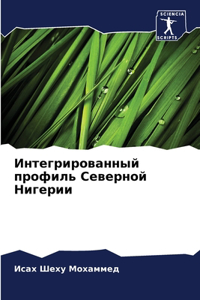Интегрированный профиль Северной Нигер