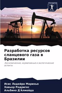 Разработка ресурсов сланцевого газа в Бра