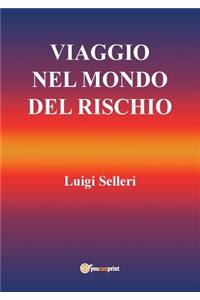 Viaggio nel mondo del rischio