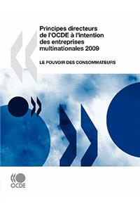Principes directeurs de l'OCDE à l'intention des entreprises multinationales 2009