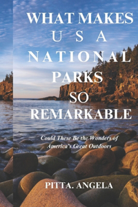 What Makes USA National Parks So Remarkable